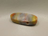 Arizona Rainbow Petrified Wood Stone Bead Pendant #4