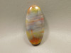 Arizona Rainbow Petrified Wood Stone Bead Pendant #4