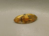 Star Rutile Quartz Cabochon #RRQ5