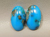 Turquoise Matched Pair Cabochons #20