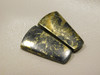 Apache Gold Matched Pair Cabochons #7