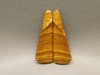 Starry Night Picture Jasper Matched Pair Cabochons #24