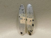Montana Agate Matched Pair Cabochons #1