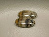 Montana Agate Matched Pair Cabochons #6