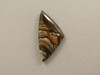 Biggs Jasper Cabochon #12