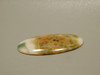 Ocean Jasper Cabochon #2