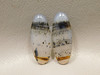 Montana Agate Matched Pair Cabochons #15