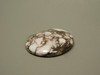 Wild Horse Cabochon #21