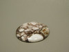Wild Horse Cabochon #21