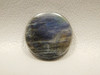 Spectrolite Cabochon #5
