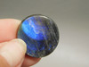 Spectrolite Cabochon #5