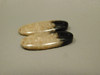 Petrified Palm Wood Matched Pair Cabochons #18