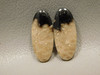 Petrified Palm Wood Matched Pair Cabochons #18