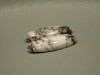 Wild Horse Matched Pair Cabochons #2