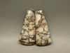 Wild Horse Matched Pair Cabochons #32