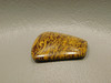 Coquina Jasper Cabochon #2