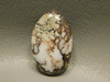 Wild Horse Cabochon #21