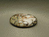 Wild Horse Cabochon #21