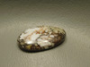 Wild Horse Cabochon #21