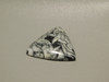 Pinolith Cabochon #23