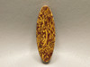 Coquina Jasper (Script Stone) Bead Pendant #6