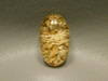 Lodolite or Garden Quartz Cabochon #6