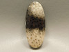 Petrified Palm Wood Stone Bead Pendant #1