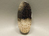 Petrified Palm Wood Stone Bead Pendant #1