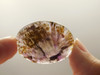 Cacoxenite Amethyst Cabochon #18