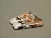 Wild Horse Matched Pair Cabochons #25