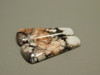Wild Horse Matched Pair Cabochons #25