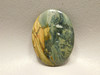 Morrisonite Jasper Cabochon #10