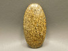 Dinosaur Bone Cabochon #5