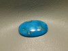 Turquoise Cabochon #6