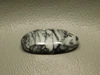 Pinolith Cabochon #24