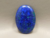 Azurite Malachite Bluebird Cabochon #5