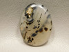 Montana Agate Cabochon #15
