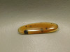 Montana Agate Cabochon #3