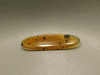 Montana Agate Cabochon #3