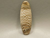 Petrified Sycamore Wood Cabochon #4