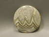 Crazy Lace Agate Cabochon #18