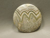 Crazy Lace Agate Cabochon #18