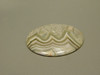 Crazy Lace Agate Cabochon #18