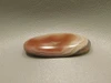 Laguna Agate Cabochon #4