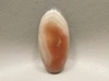 Laguna Agate Cabochon #4