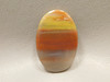Petrified Rainbow Wood Cabochon Arizona #12