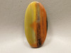 Petrified Rainbow Wood Cabochon Arizona #9