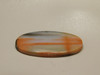 Petrified Rainbow Wood Cabochon Arizona #8