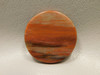 Petrified Rainbow Wood Cabochon Arizona #7