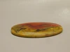 Petrified Rainbow Wood Cabochon Arizona #6